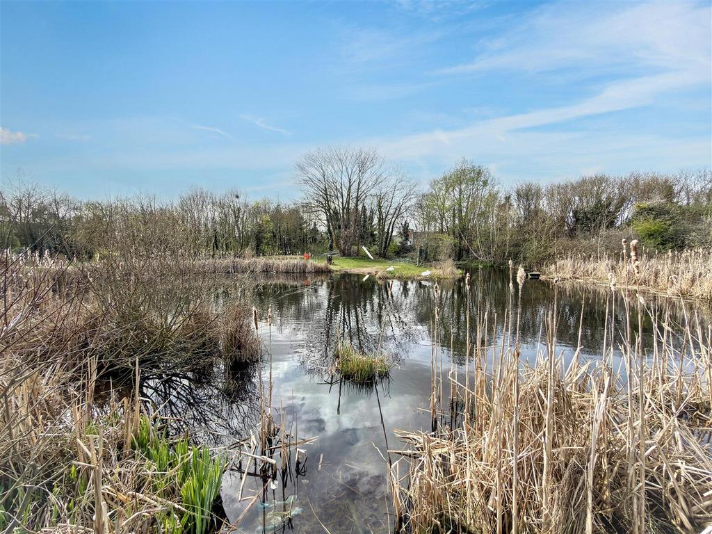Forest Lane Park