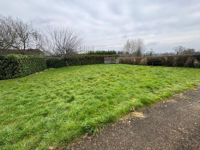 Garden.jpg