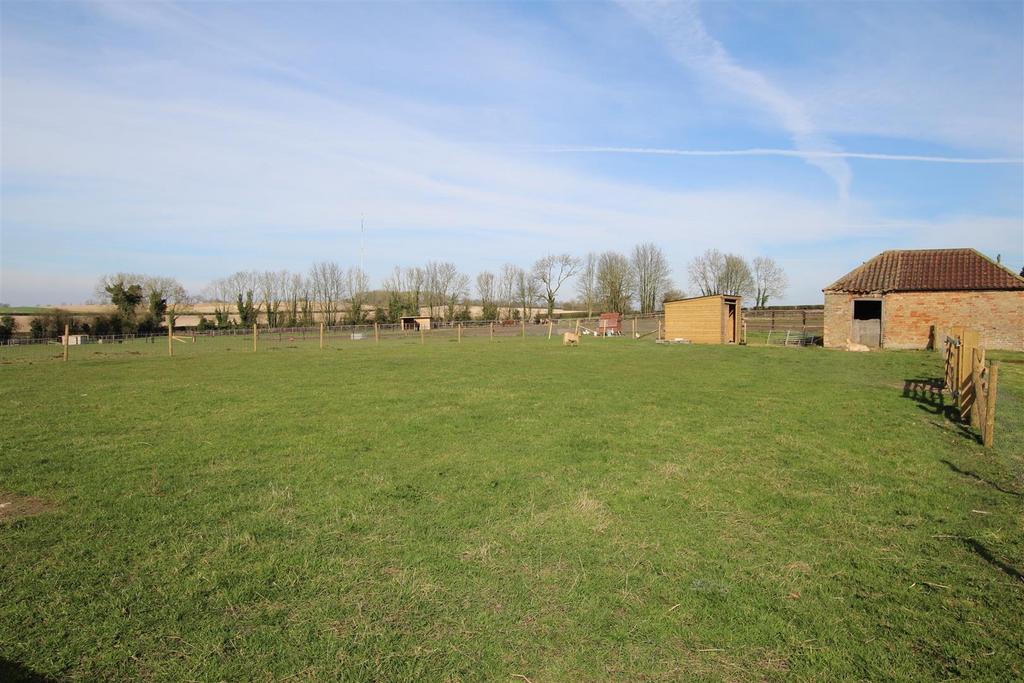 Paddock and Shelter.JPG