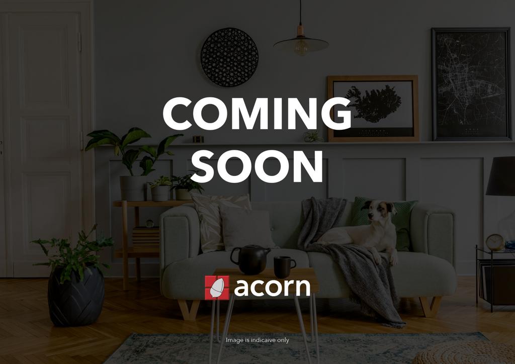 Coming Soon Acorn