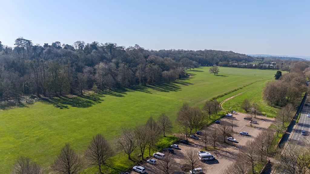Blaise Estate