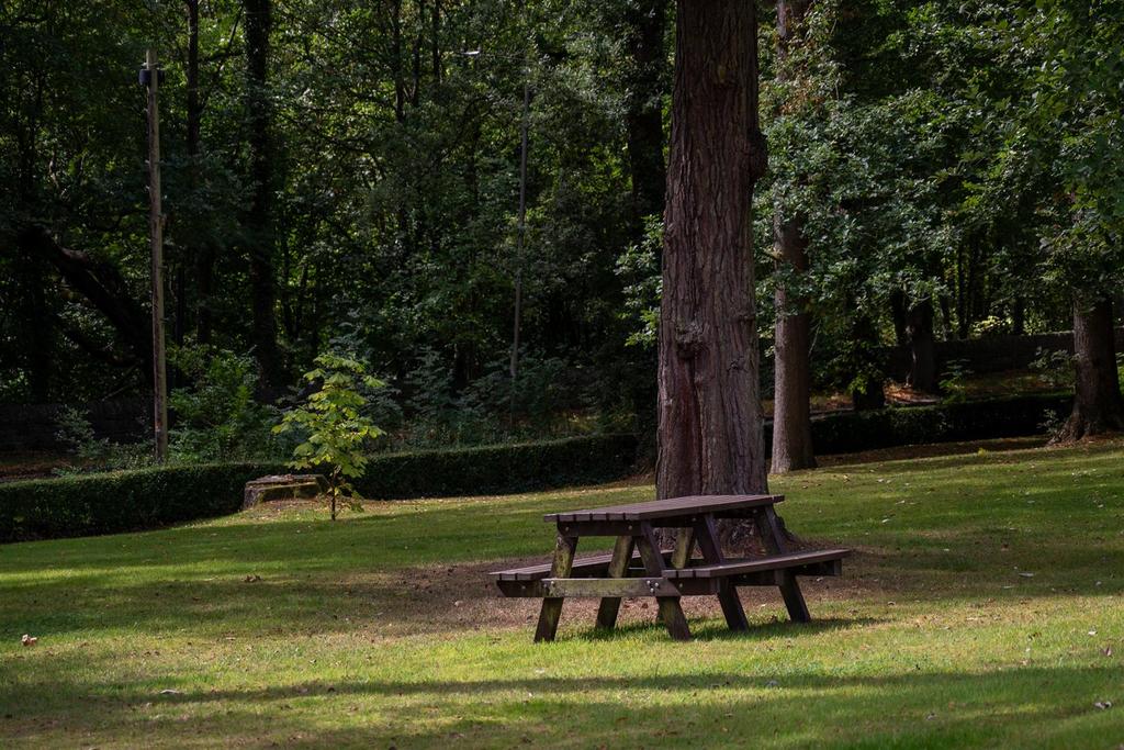 Communal Grounds