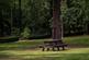 Additional image 36 of King Edwards, Rivelin, Sheffield