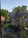 Additional image 28 of Aldebert Terrace, London SW8