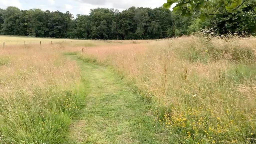 Field