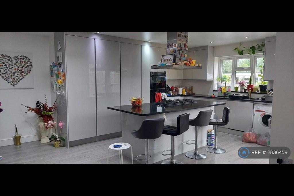 Kitchen Another View