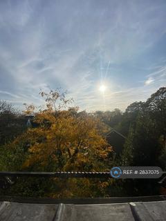 undefined, Knowsley Road, Liverpool, L19