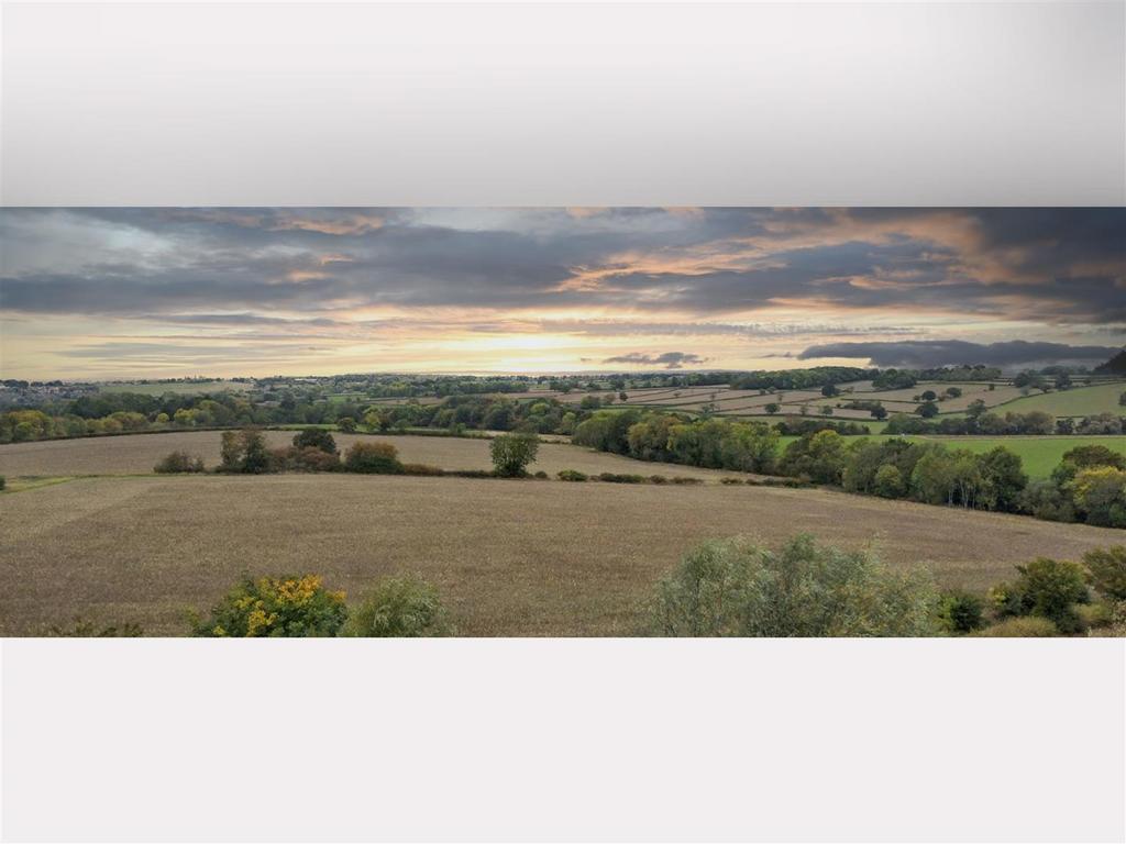 View.jpg