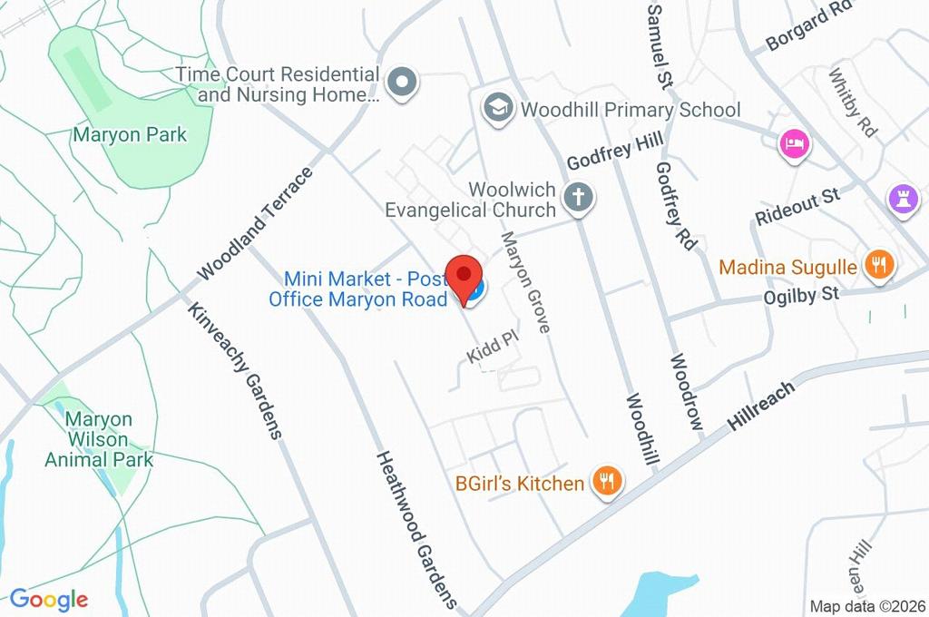 Google Maps Image