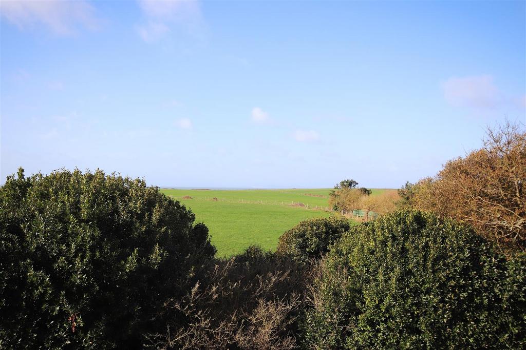 View.jpg