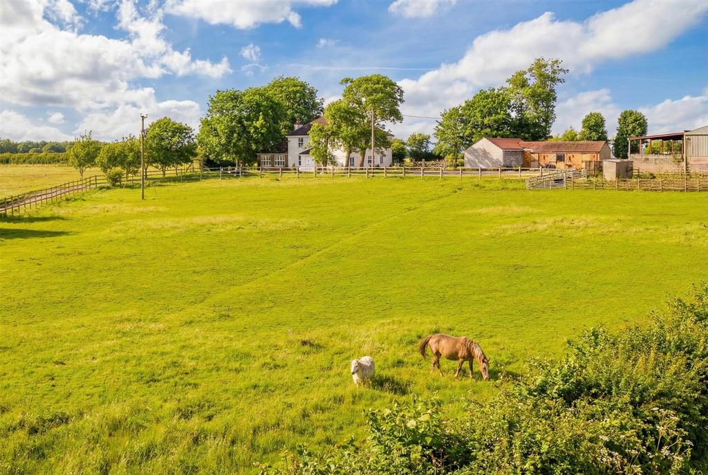 Image-3x2-2528x1696 (14).jpg