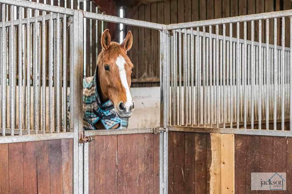 31 74256 watermarked