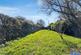 Additional image 18 of Barton Street, North Tawton, Devon, EX20