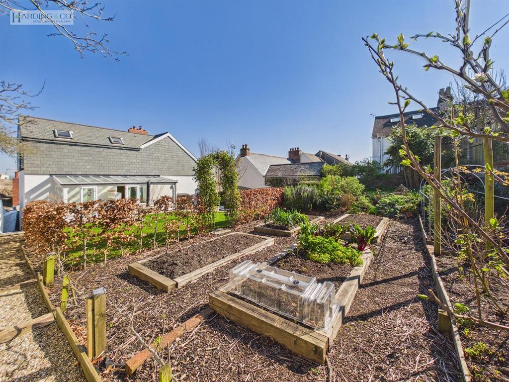 Garden .7.jpg