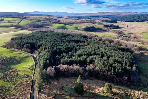 undefined, Langtoo Plantation, Corsock, Castle Douglas, DG7