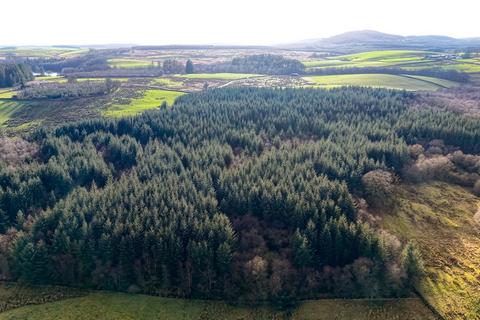 undefined, Langtoo Plantation, Corsock, Castle Douglas, DG7