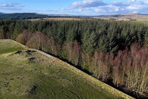 undefined, Langtoo Plantation, Corsock, Castle Douglas, DG7
