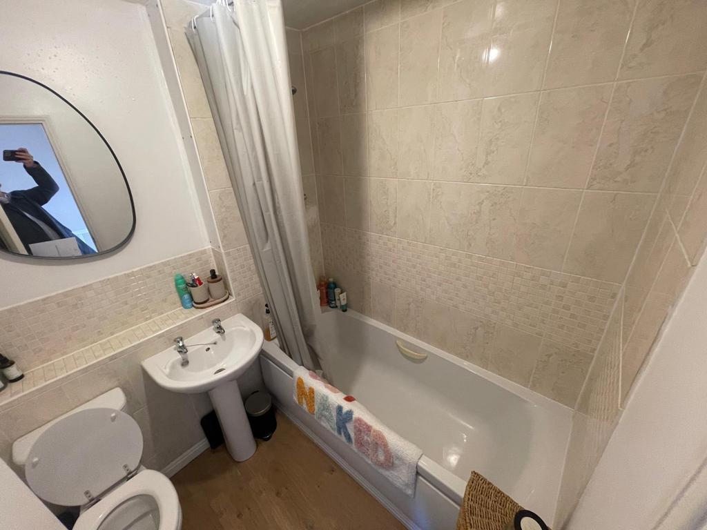 Whats App Image 2026-03-23 at 17.12.7.jpeg