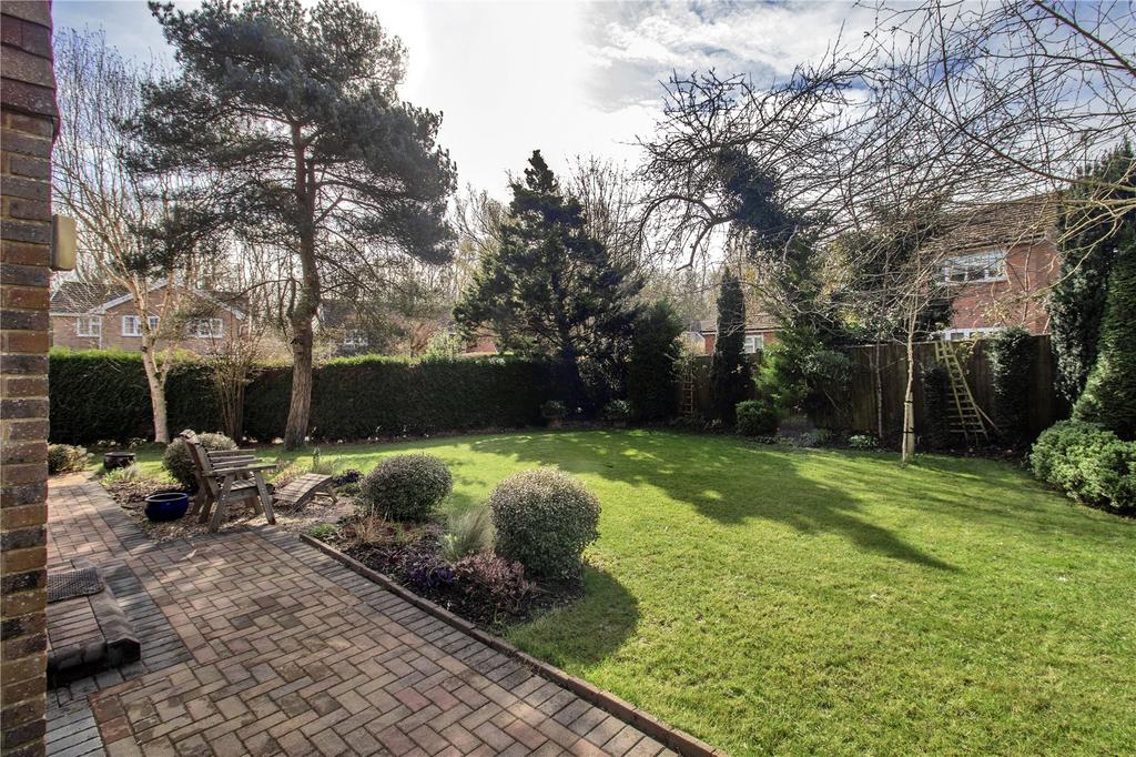 South Facing Garden