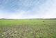 Chigwell View, Romford, RM5 photo 2