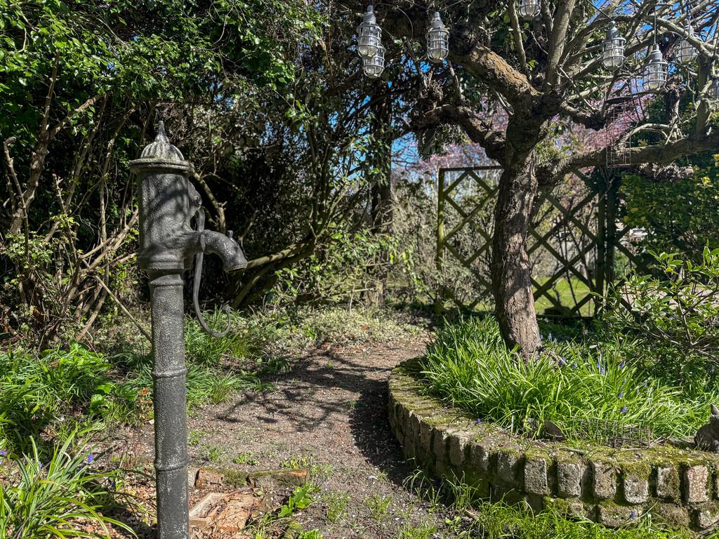 Garden 6
