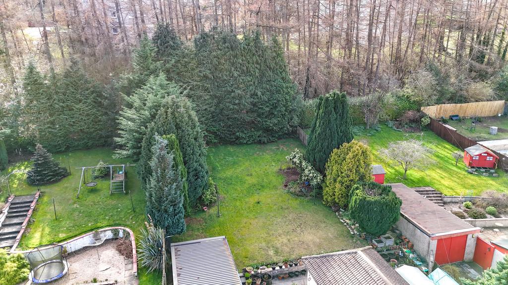 Dji 20260319132658 0010 d