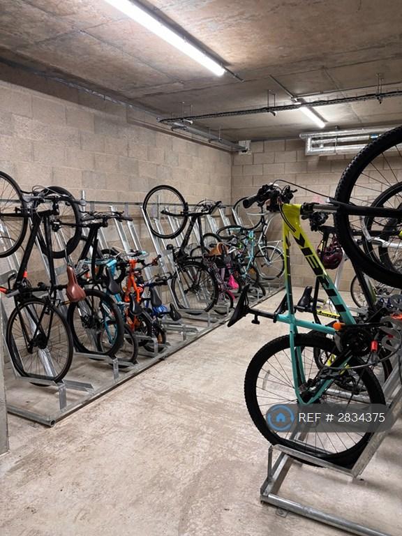 Bike Stand (Secured)