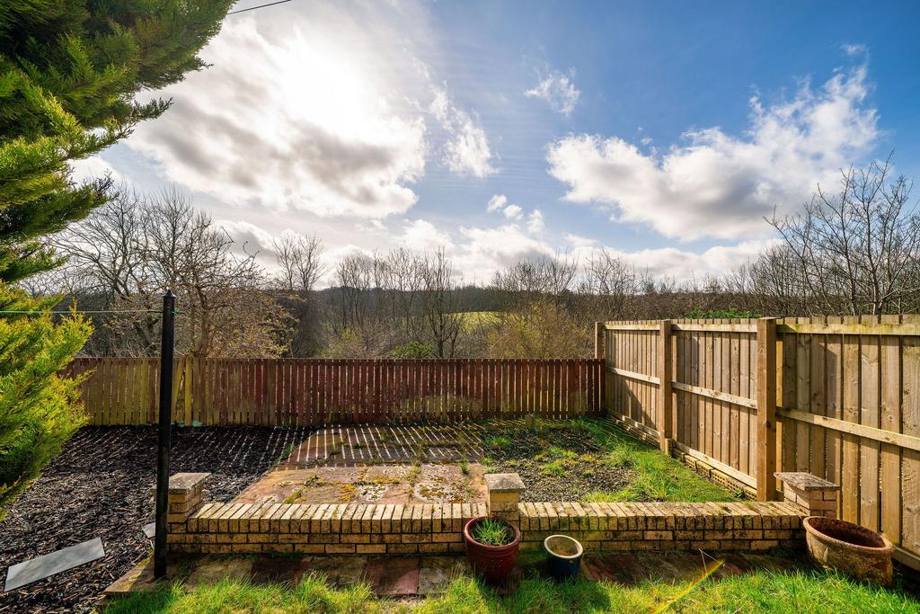 Back Garden