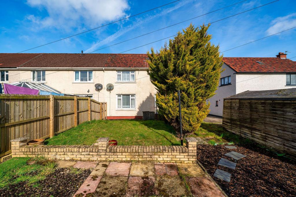 Back Garden