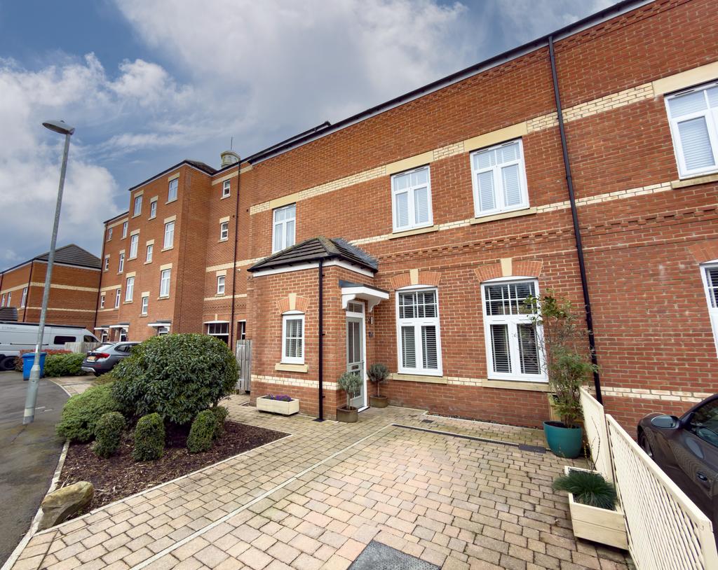 IMG 4153 T202603231904.jpg