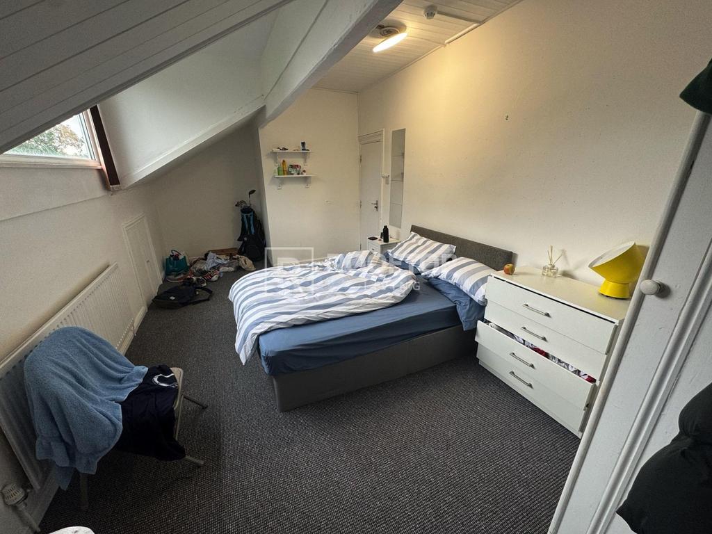 Ash-grove-ls6-1ax-1060243