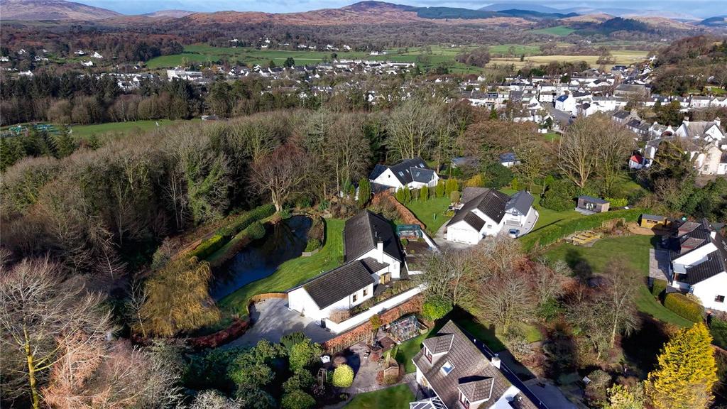Aerial Shot Back