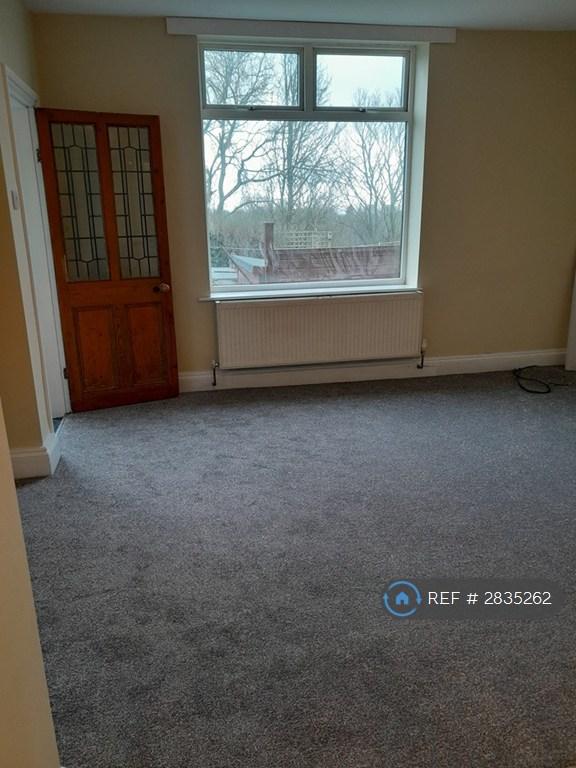 Living Room Area