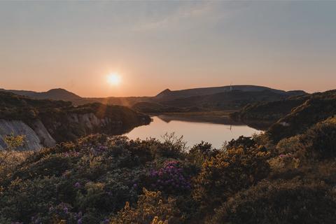 undefined, The Waterlily - West Carclaze Garden Village, St. Austell, Cornwall, PL26