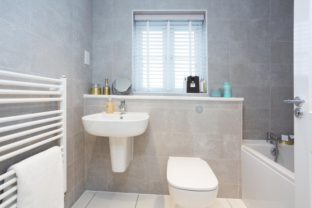 Spruce 37