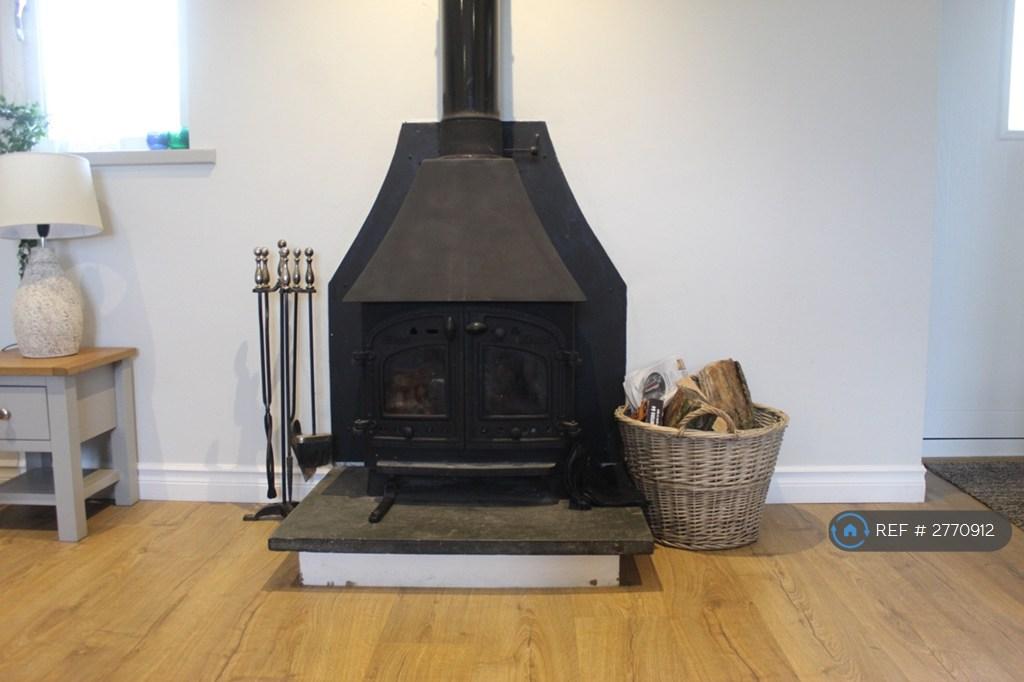 Lounge Wood Burner