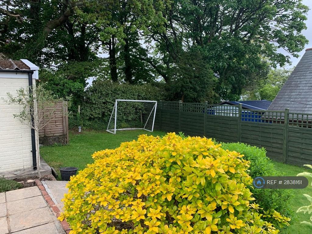 Back Garden