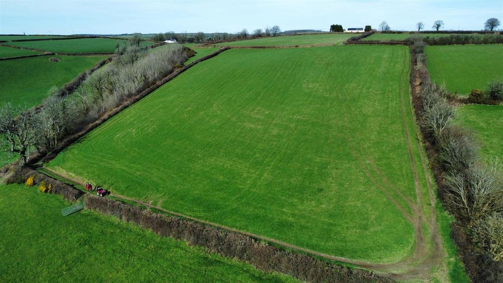 Dji fly 20260318 142404 389 1773844148643 photo op
