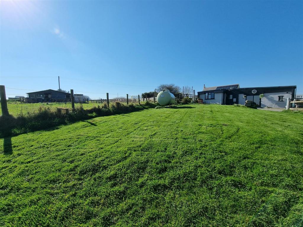 Lawn 1.jpg
