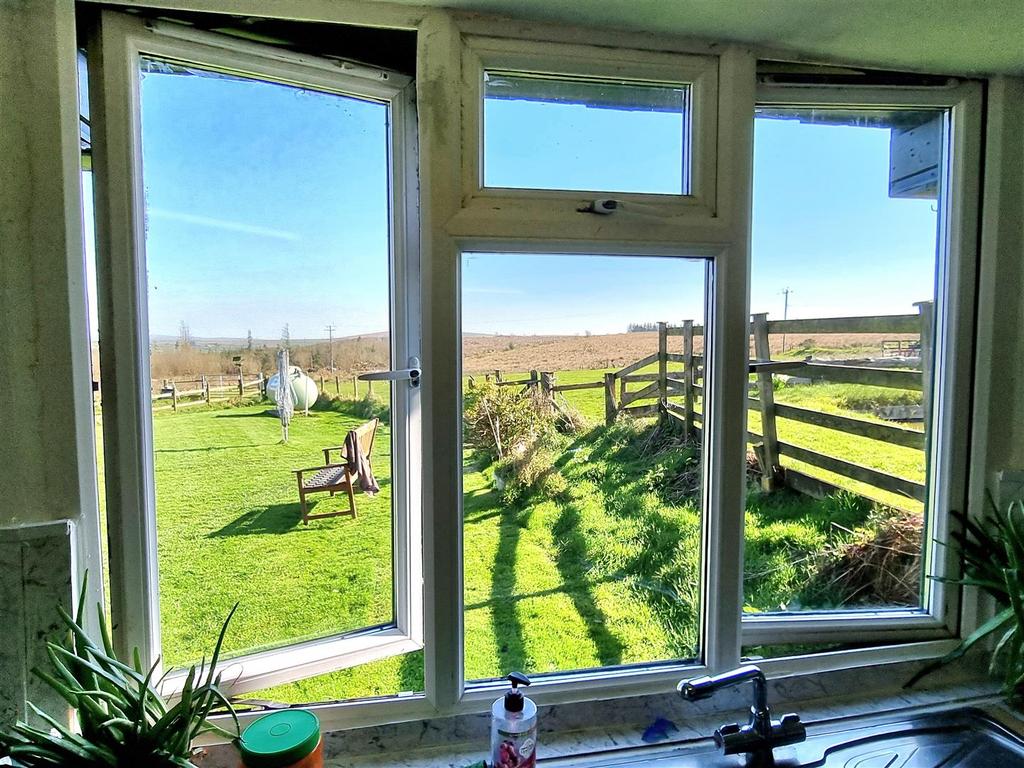 Window.jpg