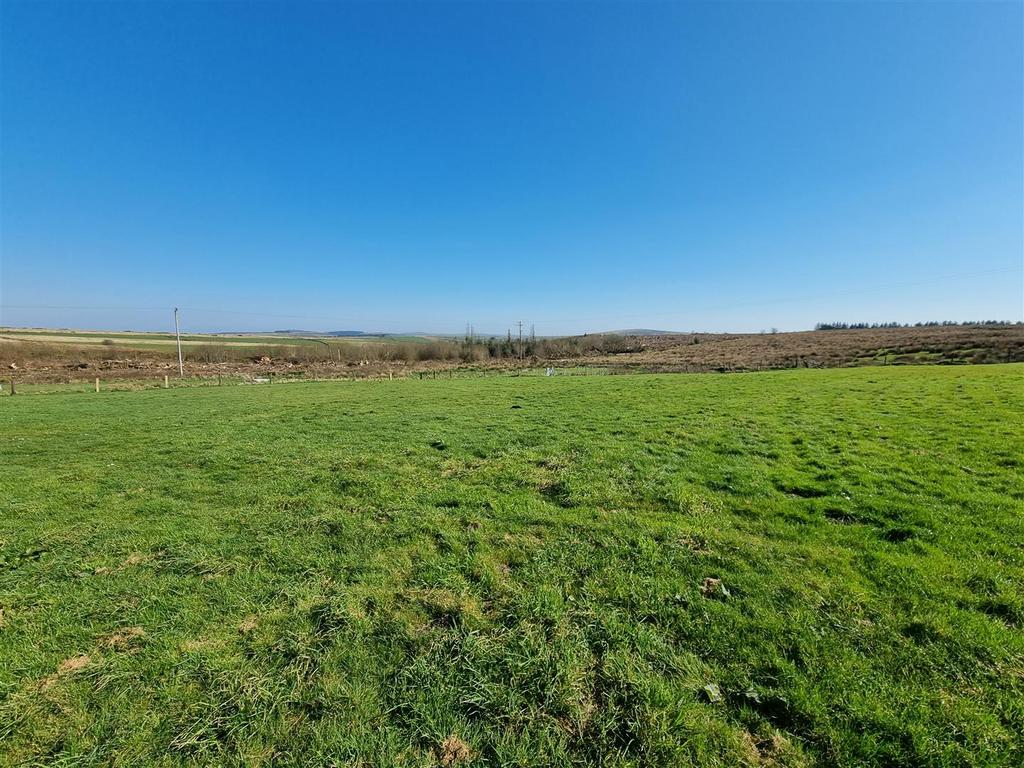 Field 3.jpg