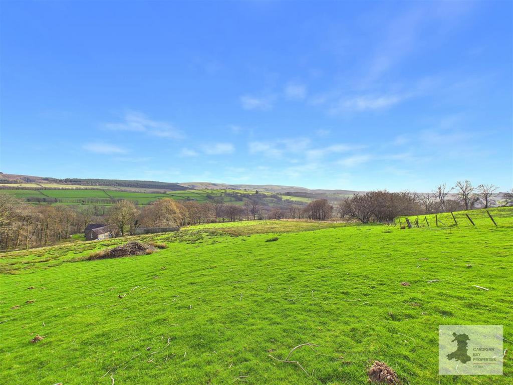 Field and views