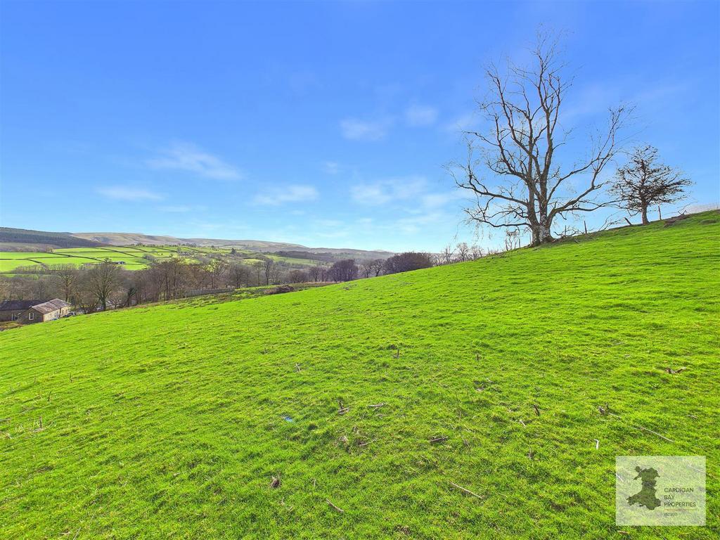 Field and views