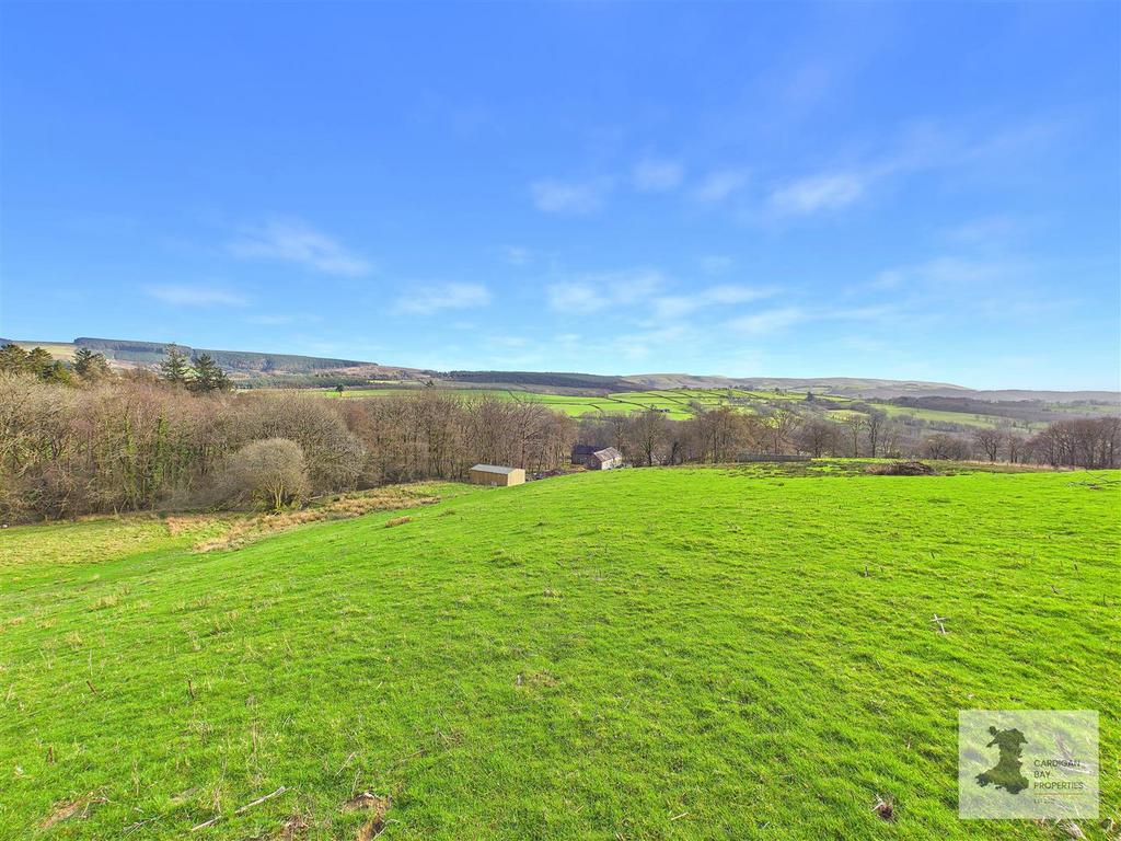Field and views