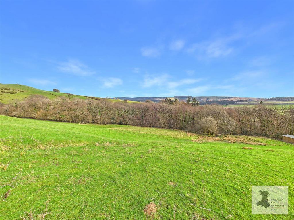 Field and views