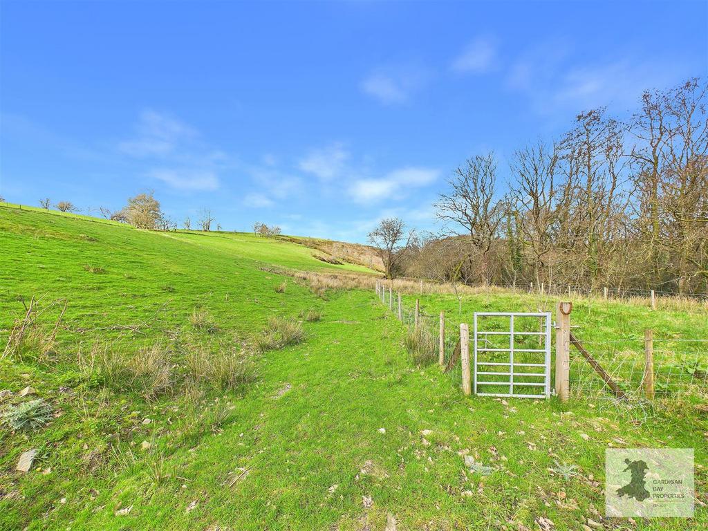 Field and views