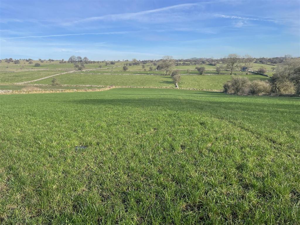 Photo 13-11-2024, 11 28 39.jpg