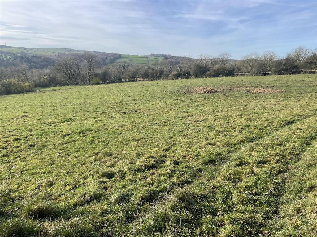 Photo 13-11-2024, 11 23 20.jpg