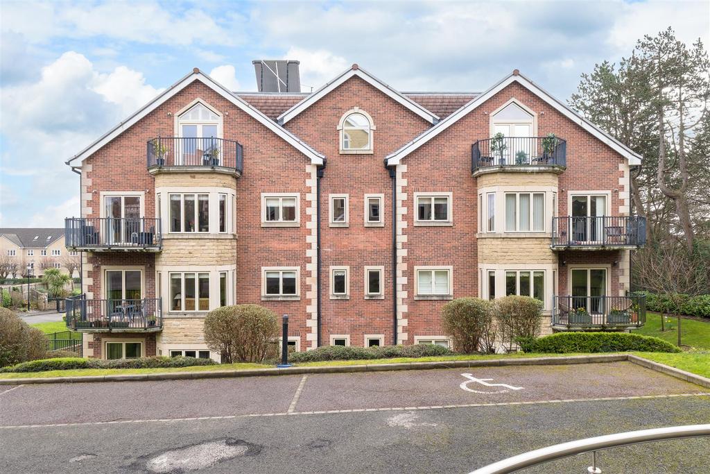 Untitled (5 of 30).jpg