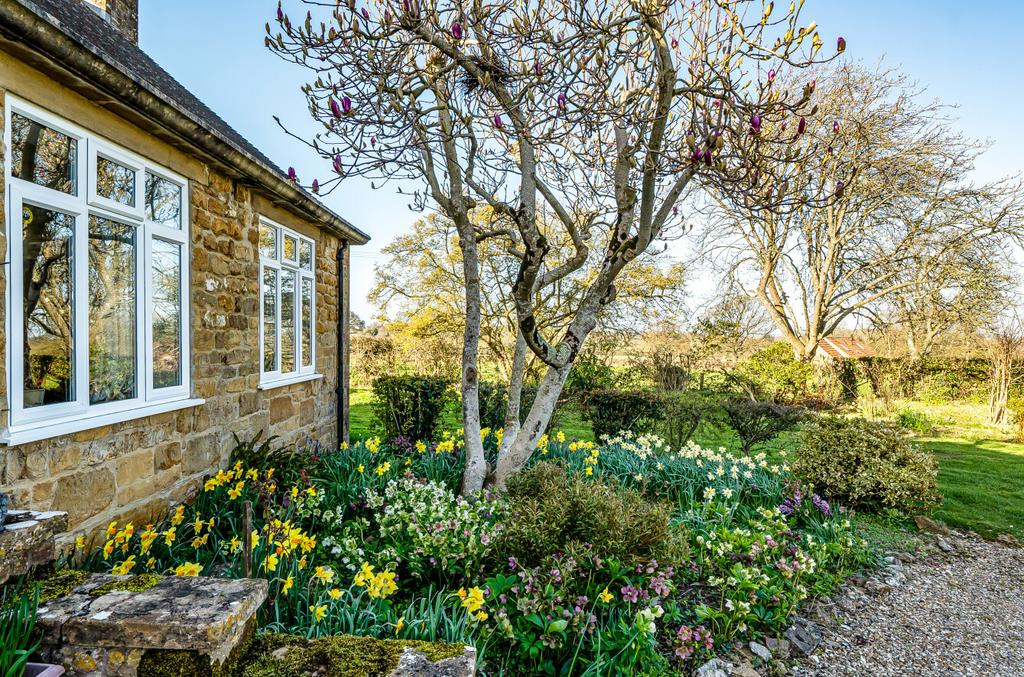 1430778-7-69b995c...